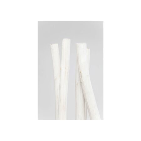 Paravent Roots – Image 2