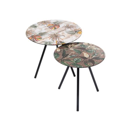 Tables d'appoint feuilles set de 2