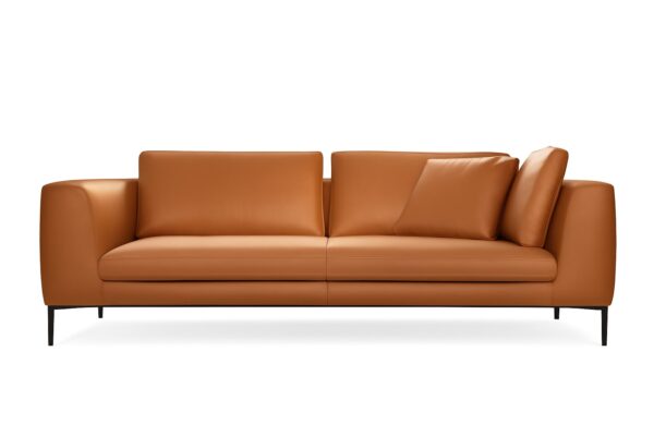 Canapé COLLINS - Tissu ou cuir au style contemporain
